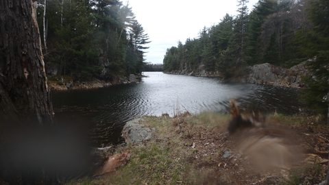Photo from Killarney Spring Cleanup