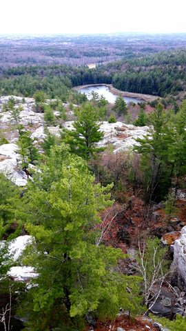 view from " the crack "