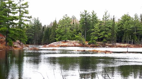 Photo from Killarney Spring Cleanup