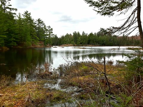 Photo from Killarney Spring Cleanup