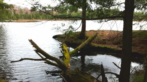 Photo from Killarney Spring Cleanup
