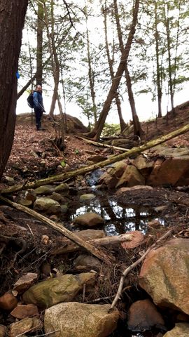 Photo from Killarney Spring Cleanup