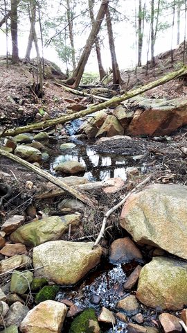 Photo from Killarney Spring Cleanup