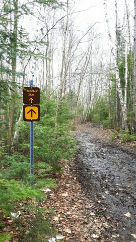 Photo from Killarney Spring Cleanup