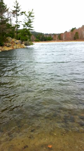 Photo from Killarney Spring Cleanup