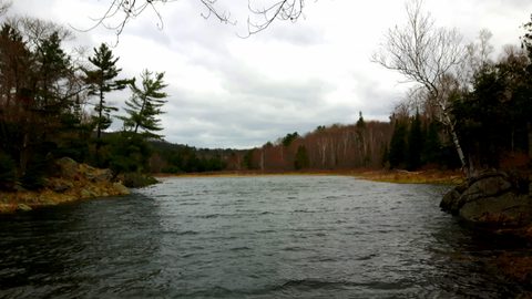 Photo from Killarney Spring Cleanup