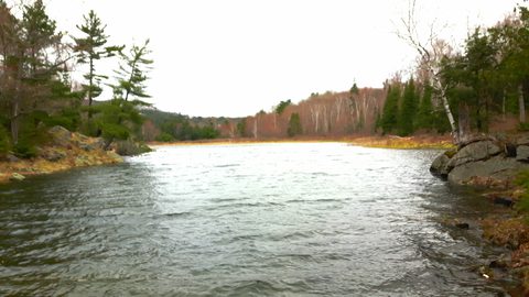 Photo from Killarney Spring Cleanup