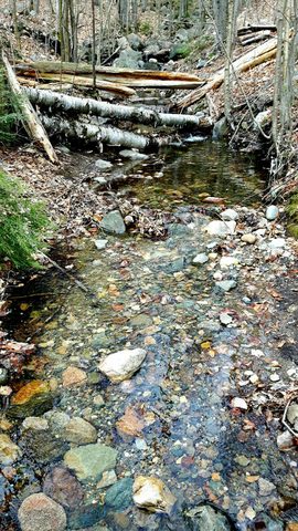 Photo from Killarney Spring Cleanup