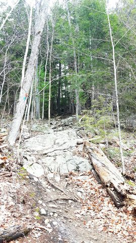 Photo from Killarney Spring Cleanup