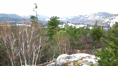 Photo from Killarney Spring Cleanup