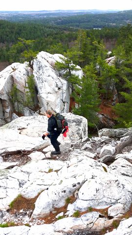 Photo from Killarney Spring Cleanup