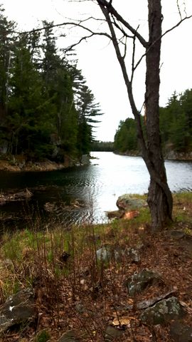 Photo from Killarney Spring Cleanup