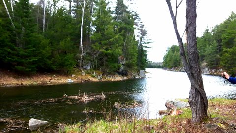 Photo from Killarney Spring Cleanup