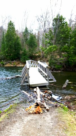 Photo from Killarney Spring Cleanup