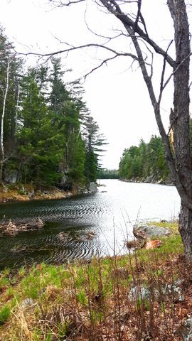 Photo from Killarney Spring Cleanup