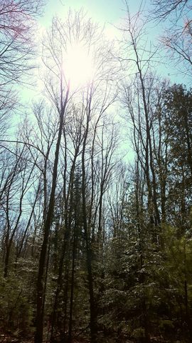 Photo from Killarney Spring Cleanup