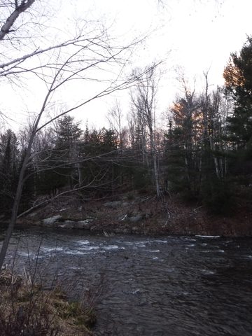 Photo from Killarney Spring Cleanup