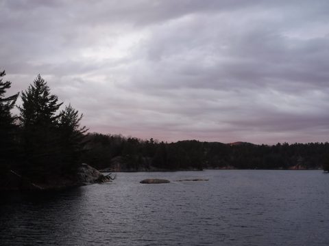 Photo from Killarney Spring Cleanup