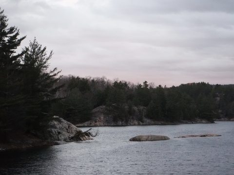 Photo from Killarney Spring Cleanup