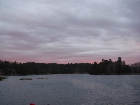 Photo from Killarney Spring Cleanup