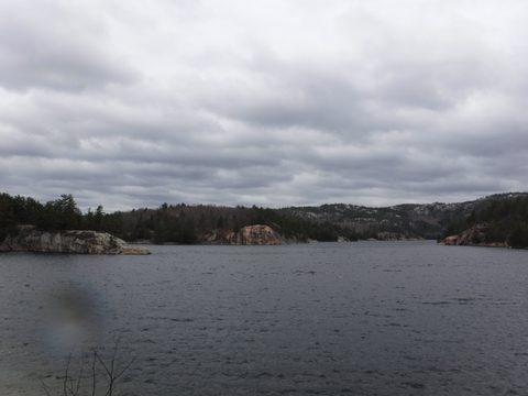 Photo from Killarney Spring Cleanup