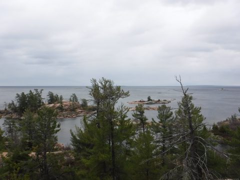 Photo from Killarney Spring Cleanup