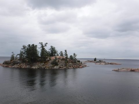 Photo from Killarney Spring Cleanup