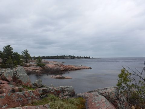 Photo from Killarney Spring Cleanup