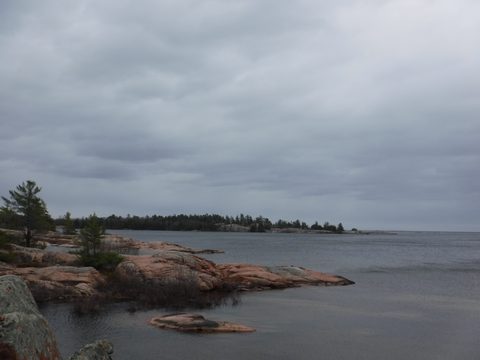 Photo from Killarney Spring Cleanup