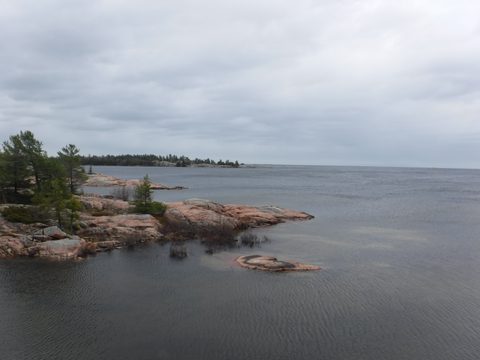 Photo from Killarney Spring Cleanup