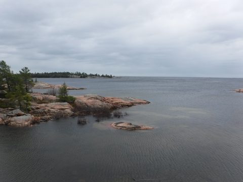 Photo from Killarney Spring Cleanup