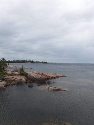 Photo from Killarney Spring Cleanup