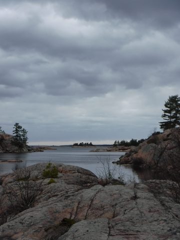 Photo from Killarney Spring Cleanup