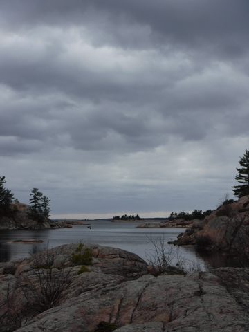 Photo from Killarney Spring Cleanup