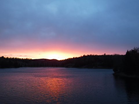 Photo from Killarney Spring Cleanup