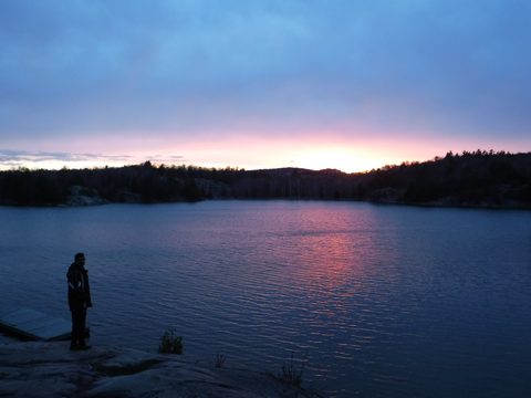 Photo from Killarney Spring Cleanup