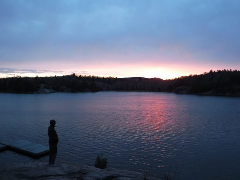 Photo from Killarney Spring Cleanup