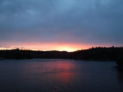 Photo from Killarney Spring Cleanup