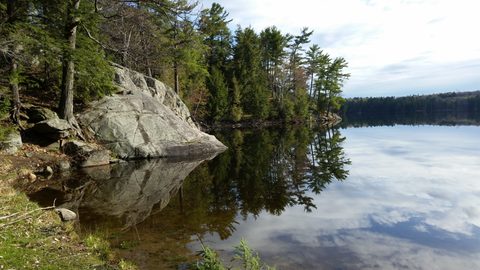 Photo from Canoe tripping a the Massassauga Provincial park