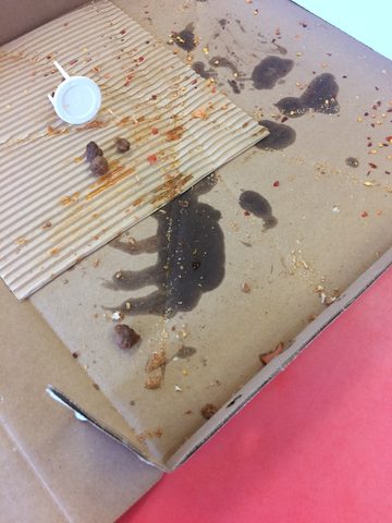 No, no moose on the trail, but Janice did spy the elusive ungulate passing through a Pizza Nova, complete with droppings