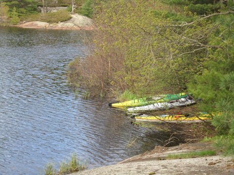 Photo from Paddling Massasauga