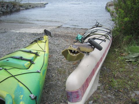 Photo from Paddling Massasauga