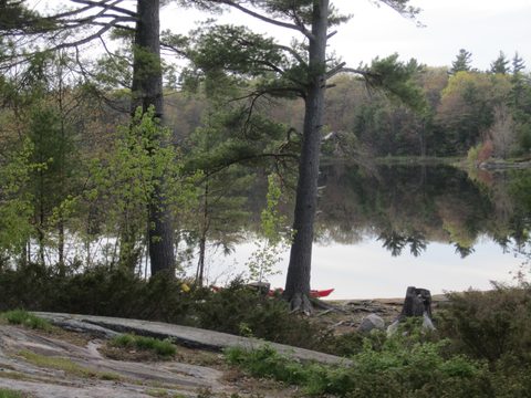 Photo from Paddling Massasauga