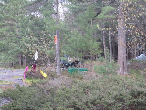 Photo from Paddling Massasauga