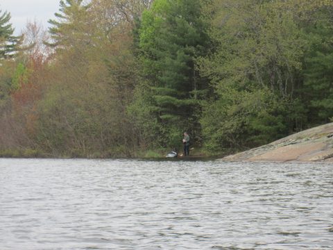 Photo from Paddling Massasauga