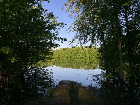 Photo from Intro To Kayak Paddling Skills and Campfire