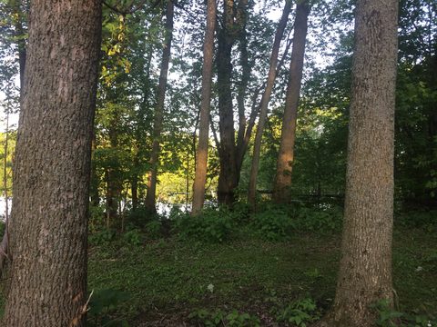Photo from Intro To Kayak Paddling Skills and Campfire