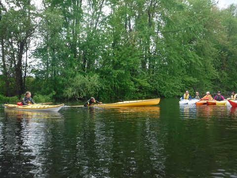 Photo from Intro To Kayak Paddling Skills and Campfire