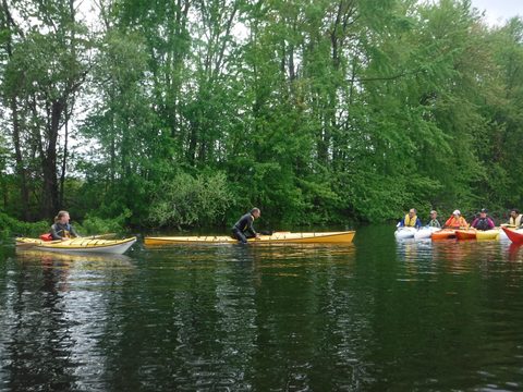 Photo from Intro To Kayak Paddling Skills and Campfire