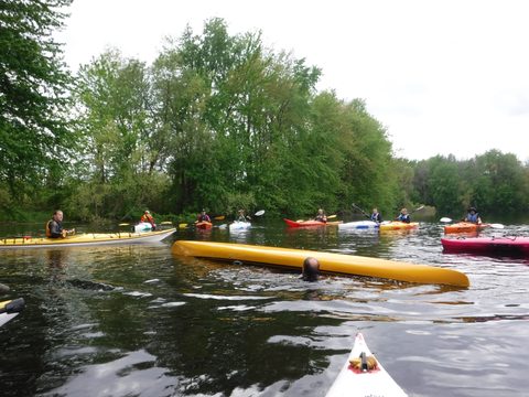 Photo from Intro To Kayak Paddling Skills and Campfire